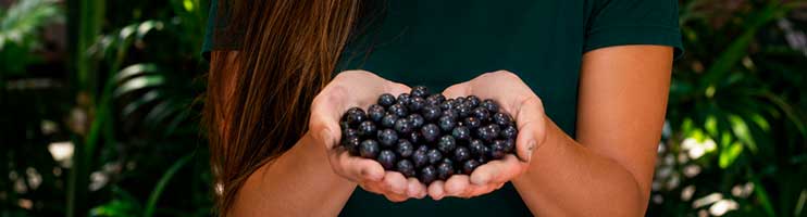Caroço do açaí vira de utensílios domésticos a biocombustíveis…